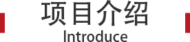 组 2.png